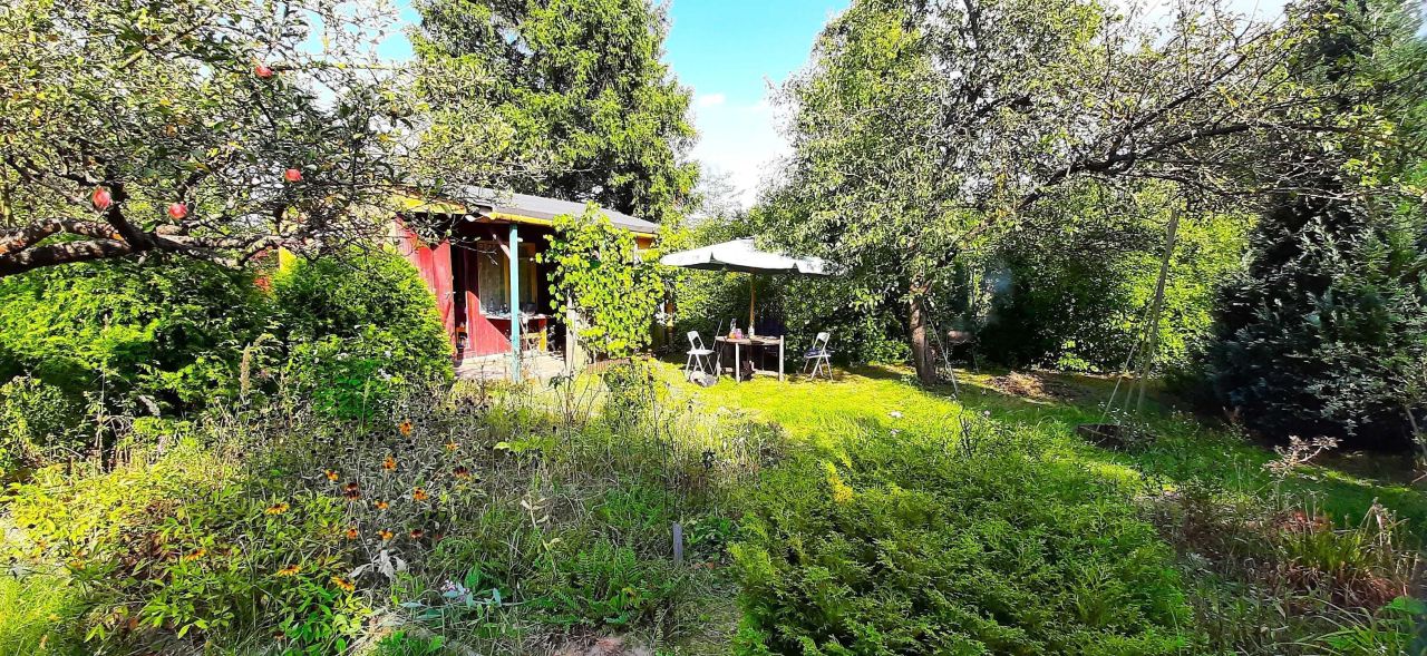 Działka rod Kielce Barwinek, ul. Wrzosowa. Zdjęcie 4