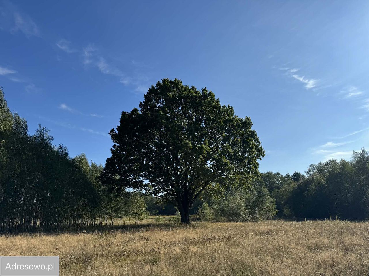 Działka rolno-budowlana Aleksandria. Zdjęcie 13