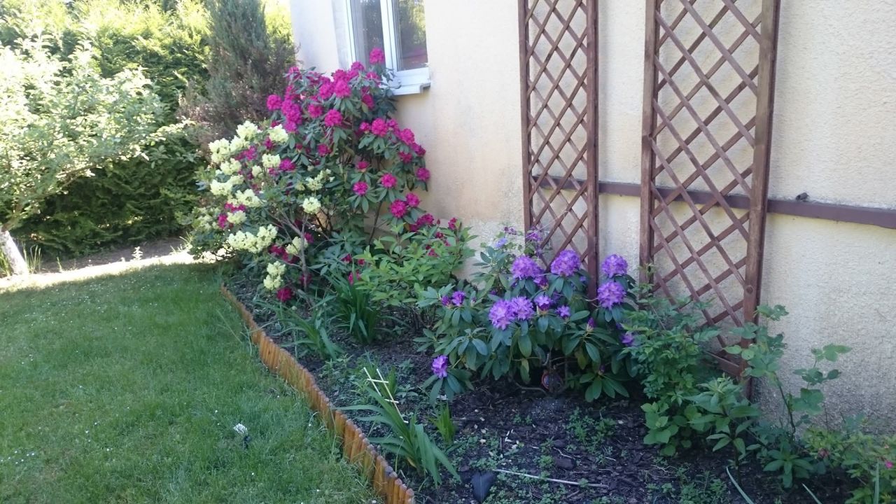 Działka rod Bożenkowo, ul. Rekreacyjna. Zdjęcie 9