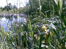 Działka rolno-budowlana Kozjaty. Zdjęcie 3