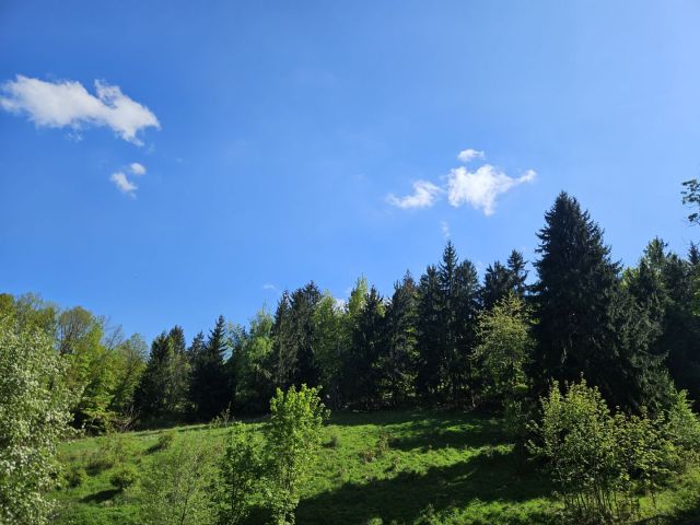 Działka rekreacyjna Żdanów. Zdjęcie 1