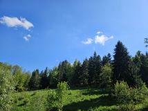 Działka rekreacyjna Żdanów