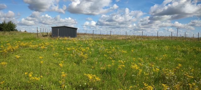 Działka budowlana Gzin, ul. Oktowo. Zdjęcie 1