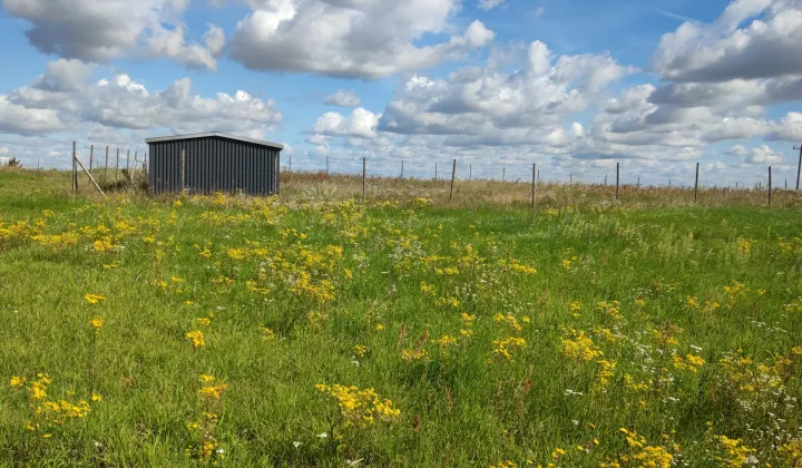 Działka budowlana Gzin, ul. Oktowo