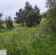 Działka rolna Rostki Skomackie. Zdjęcie 9