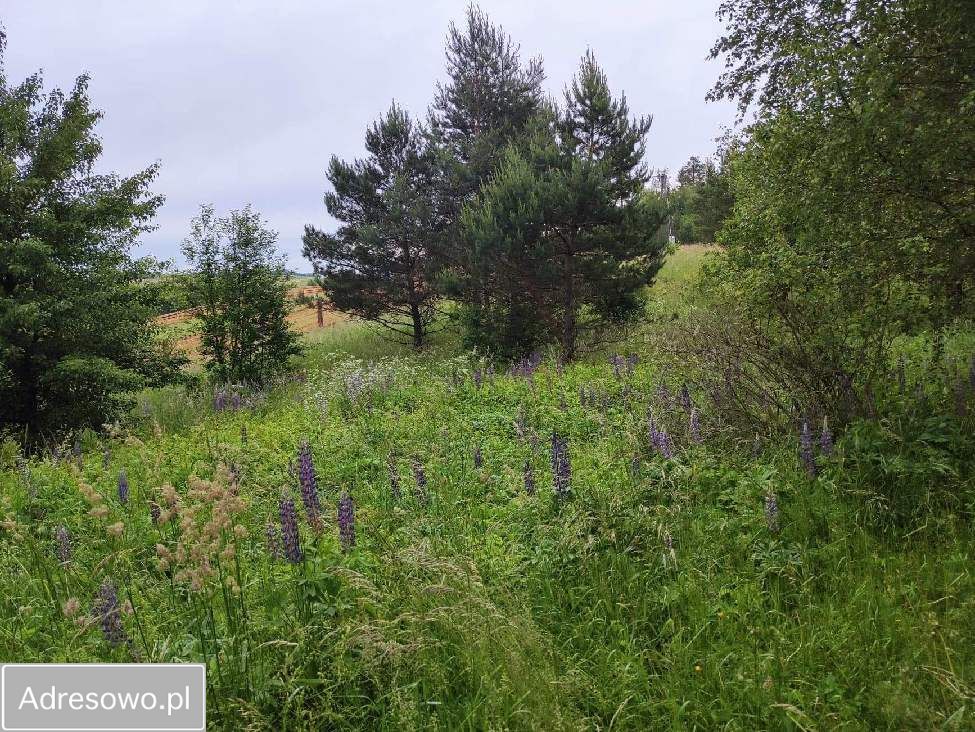 Działka rolna Rostki Skomackie. Zdjęcie 9