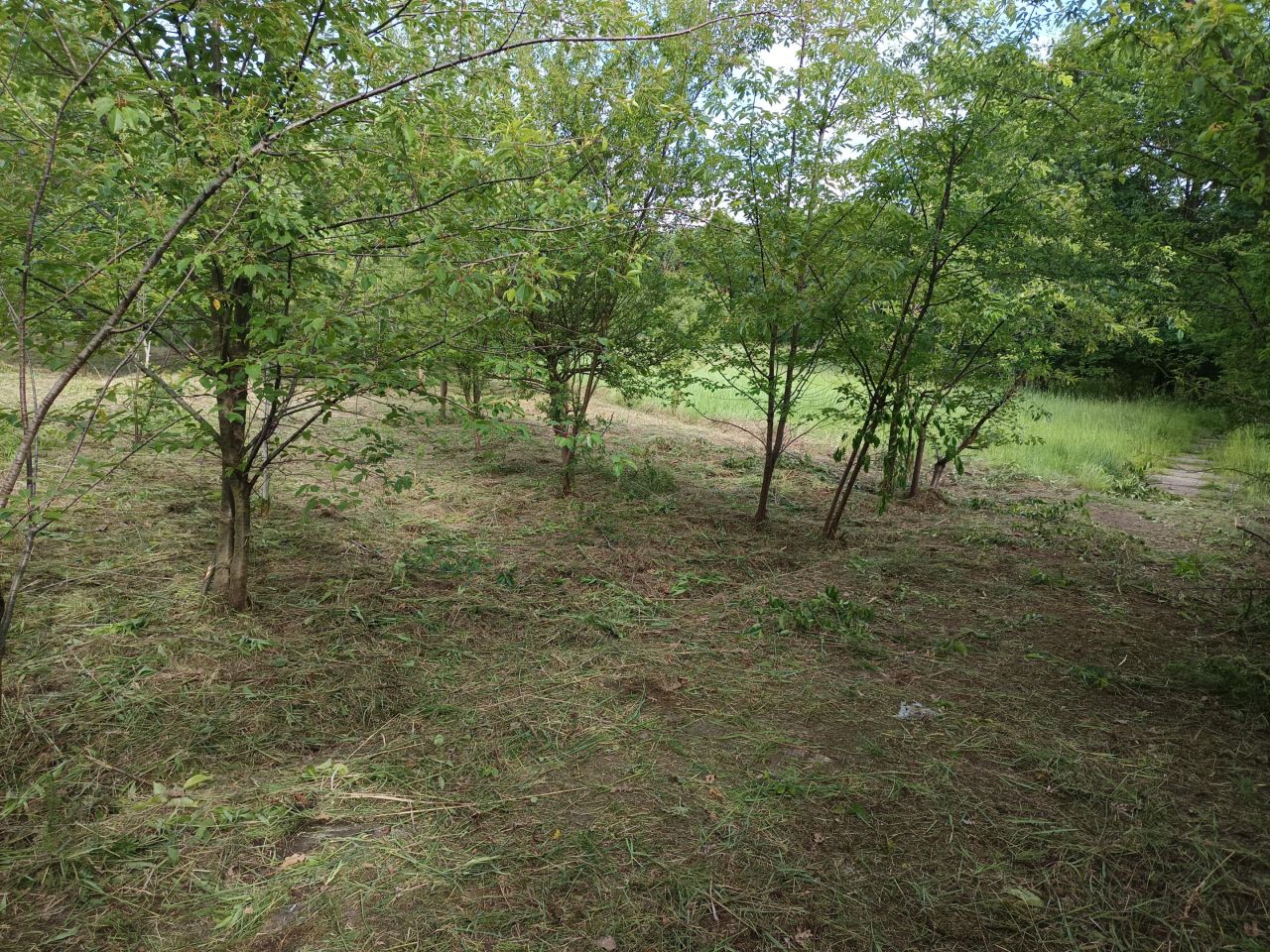 Działka rolna Mielec Cyranka, ul. Cyranowska. Zdjęcie 5