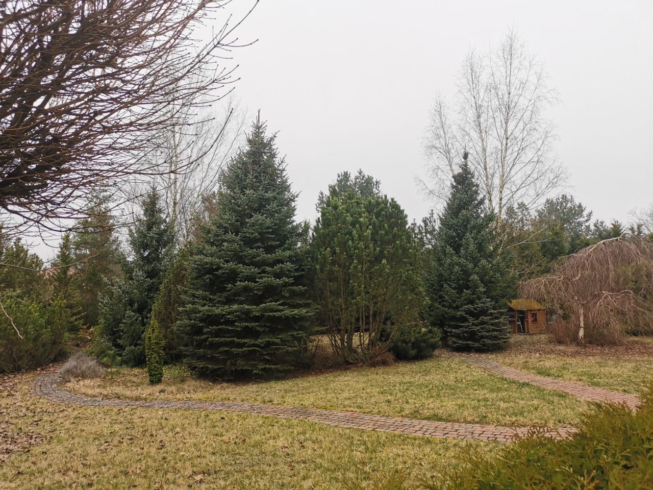 dom wolnostojący, 6 pokoi Dolaszewo. Zdjęcie 2