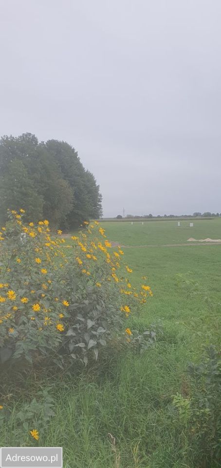 Działka budowlana Ługi Ujskie, ul. Wesoła. Zdjęcie 6