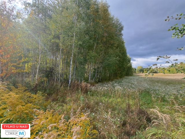 Działka siedliskowa Sędek. Zdjęcie 1