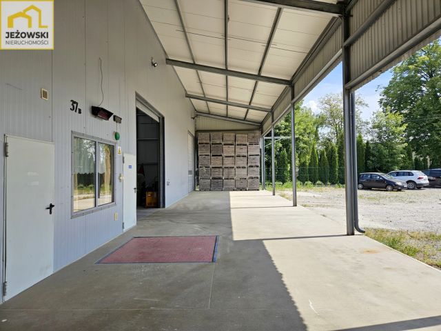 Hala/magazyn Wojciechów. Zdjęcie 4