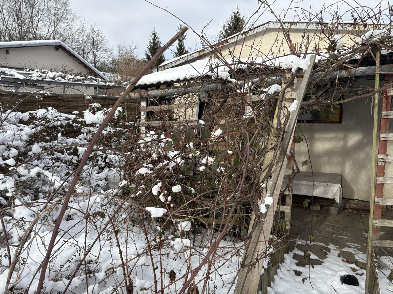 Działka rod Sulechów, ul. Gajowa. Zdjęcie 14