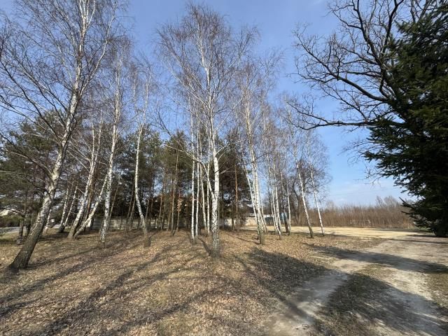 Działka budowlana Rżyska. Zdjęcie 5