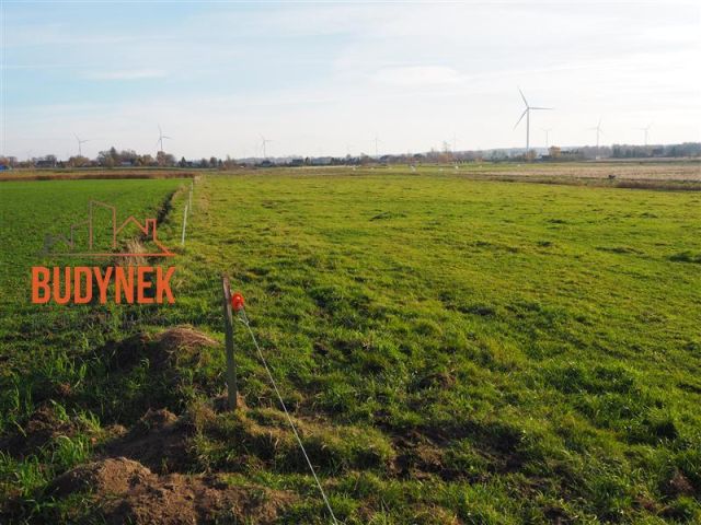 Działka rolna Krupy. Zdjęcie 10