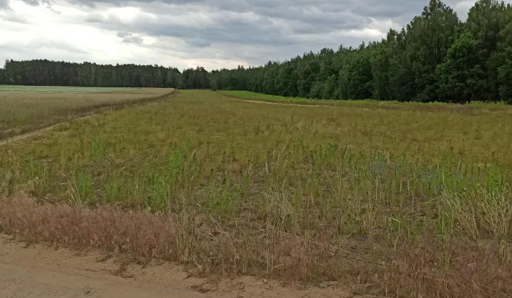 Działka rolna Nowy Krysk