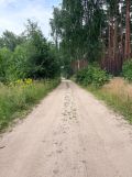 Działka budowlana Skórka. Zdjęcie 4