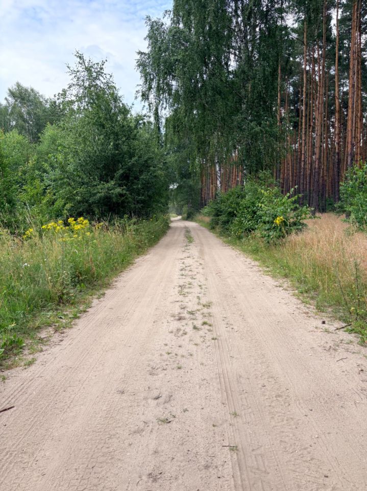 Działka budowlana Skórka. Zdjęcie 5