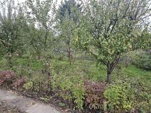 Działka rod Kraków Podgórze, ul. Nowohucka. Zdjęcie 3