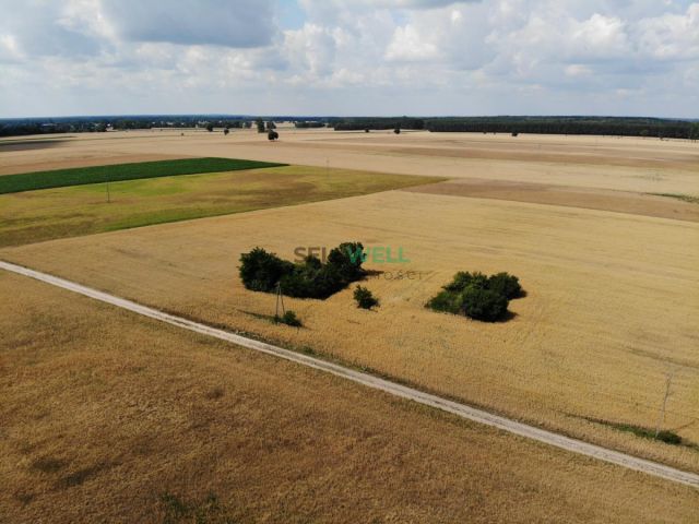 Działka inwestycyjna Złotniki. Zdjęcie 6