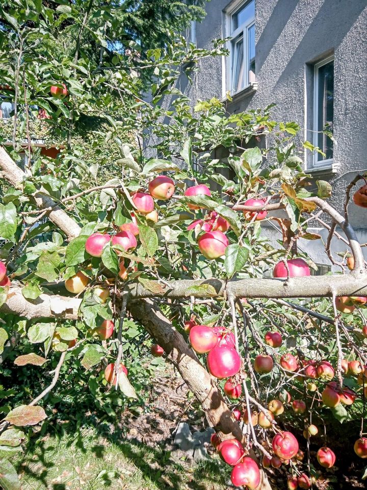 Mieszkanie 1-pokojowe Kraków Bronowice, ul. Bronowicka. Zdjęcie 11