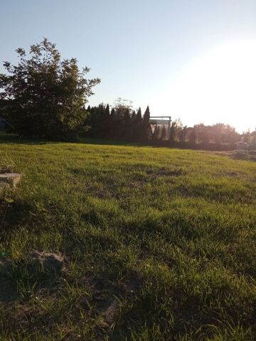 Działka rolno-budowlana Biała. Zdjęcie 1