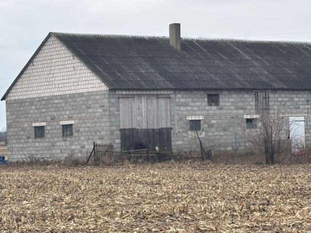 Hala/magazyn Świnice Warckie. Zdjęcie 1