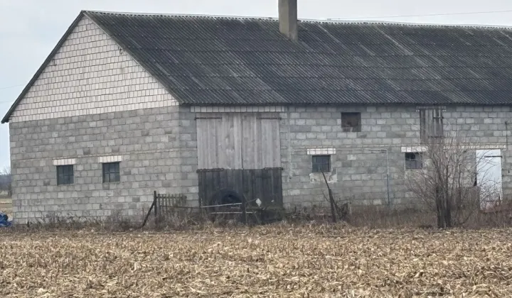 Hala/magazyn Świnice Warckie