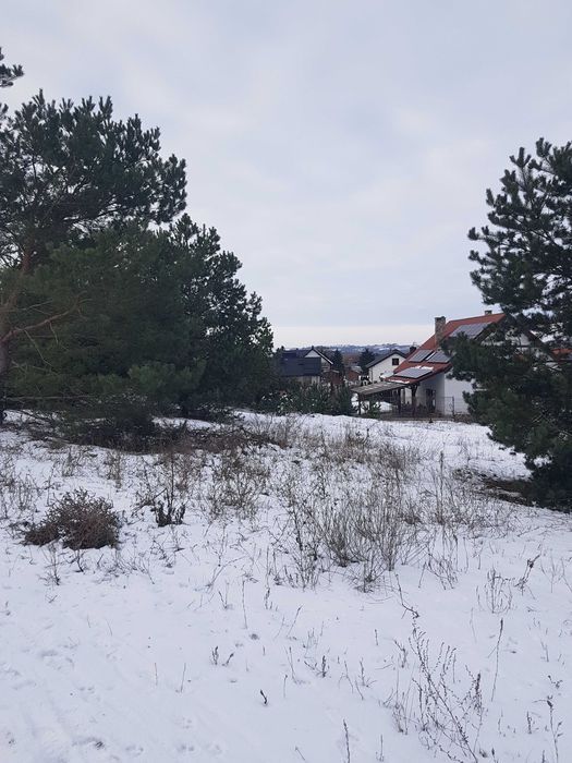 Działka budowlana Paterek, ul. Leśna. Zdjęcie 4