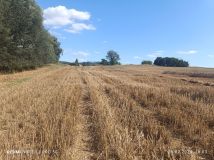 Działka budowlana Gębice. Zdjęcie 2