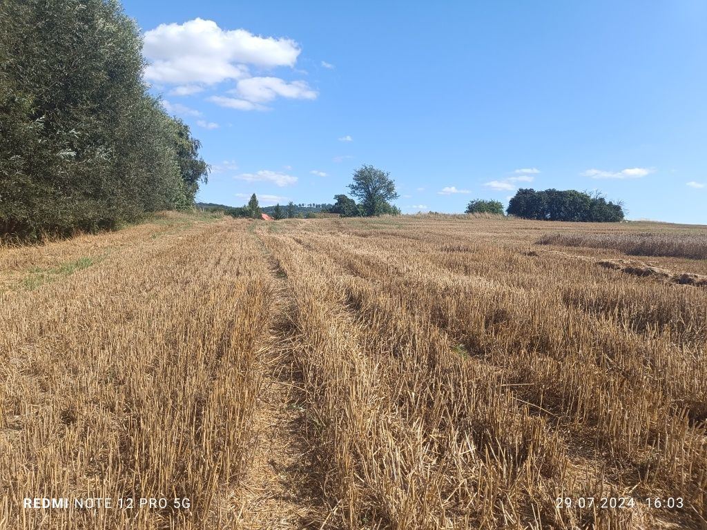 Działka budowlana Gębice. Zdjęcie 3