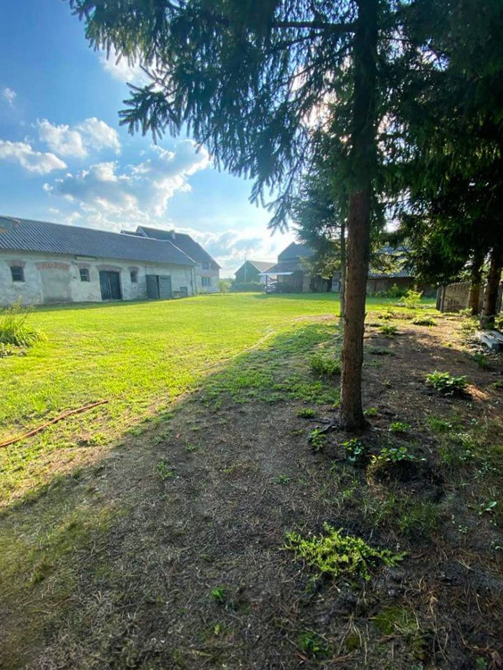 dom wolnostojący, 7 pokoi Wierzbica. Zdjęcie 4