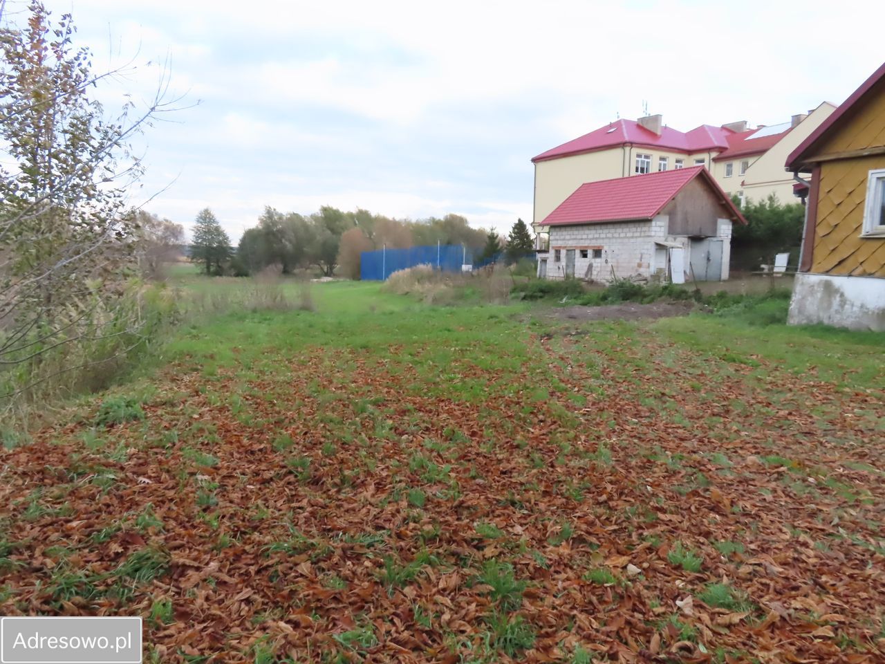 siedlisko Jaszczów. Zdjęcie 18