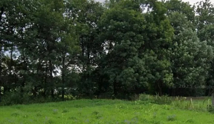 Działka rolna Uszew