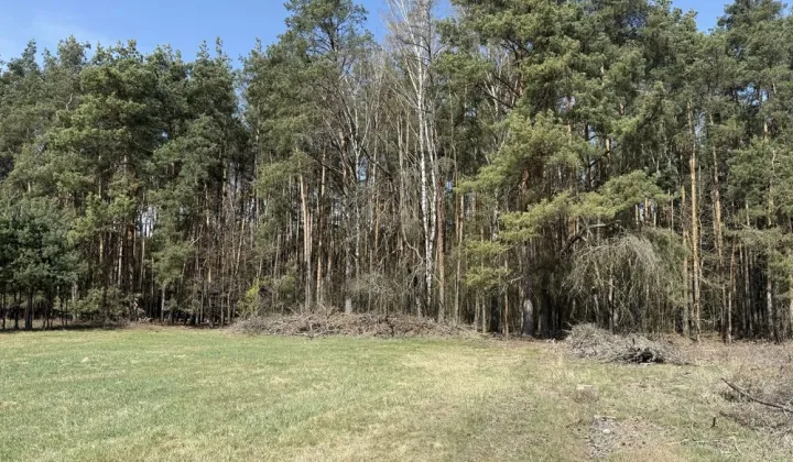 Działka budowlana Adamów-Wieś