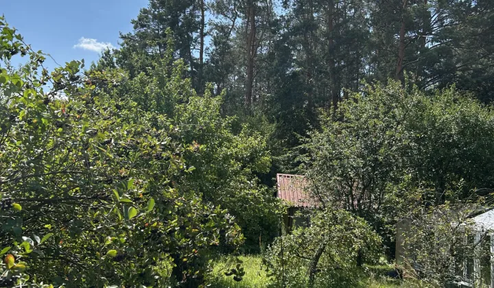 Działka rod Połaniec, ul. Ruszczańska