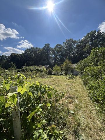 Działka rod Rudno. Zdjęcie 1