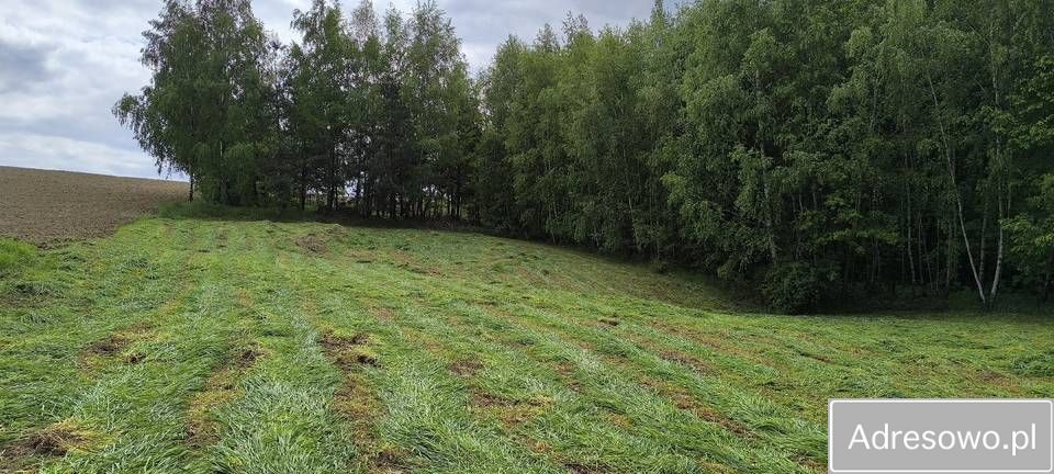 Działka rolno-budowlana Białka. Zdjęcie 7