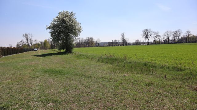 Działka budowlana Charbice Dolne. Zdjęcie 4