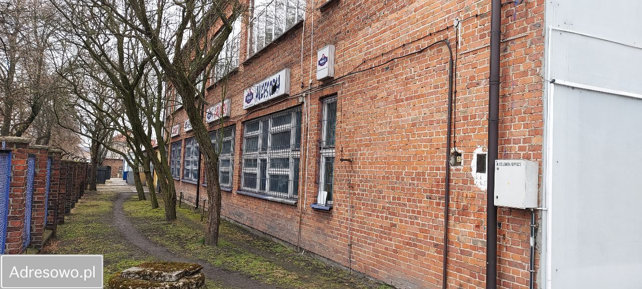 Hala/magazyn Włocławek, ul. Jesionowa. Zdjęcie 3