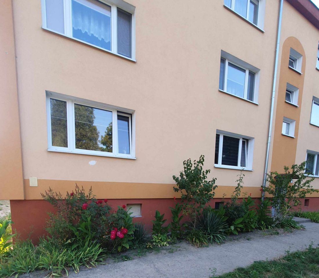 Mieszkanie 4-pokojowe Sulęcin, os. Żubrów. Zdjęcie 9