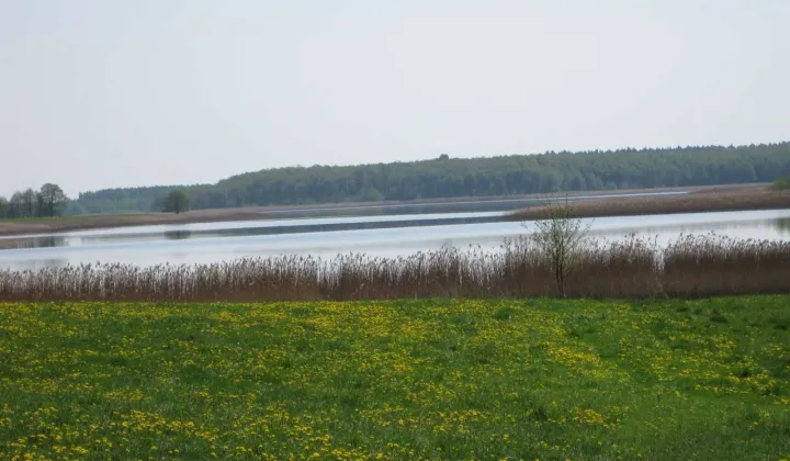 Działka rolna Tajenko