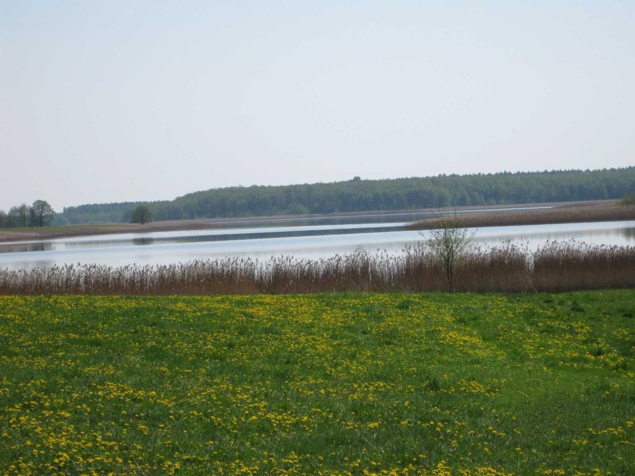 Działka rolna Tajenko