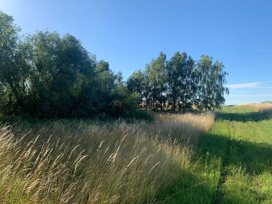 Działka rolno-budowlana Rydzewo, ul. Brzozowa. Zdjęcie 8