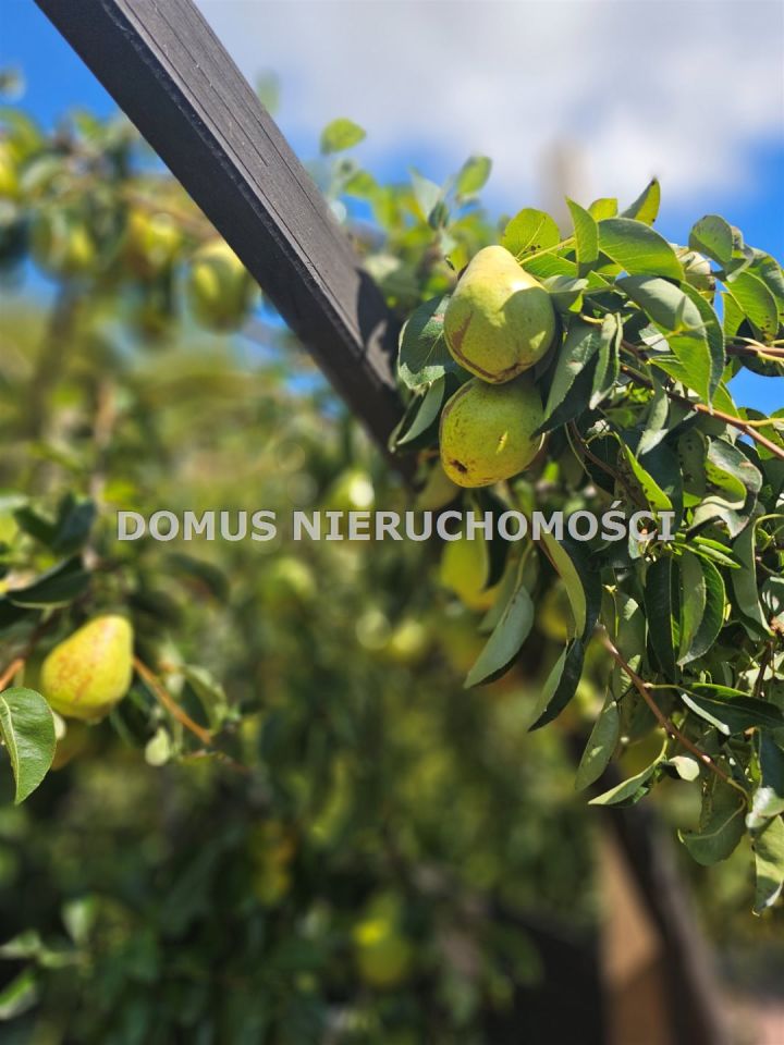 dom wolnostojący, 4 pokoje Żelechlin. Zdjęcie 10