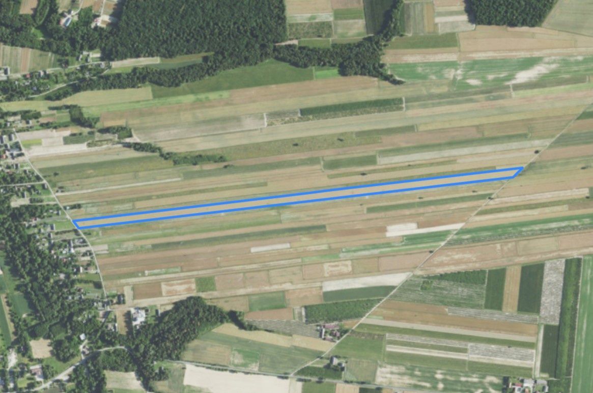 Działka rolna Rybczewice Pierwsze. Zdjęcie 6