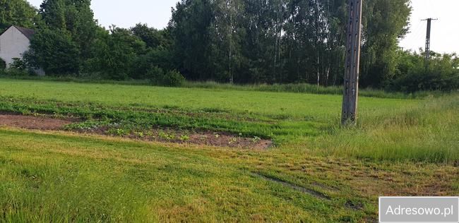 Działka budowlana Żuków. Zdjęcie 9