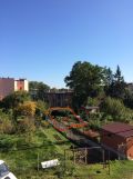 Działka rod Jelenia Góra Centrum