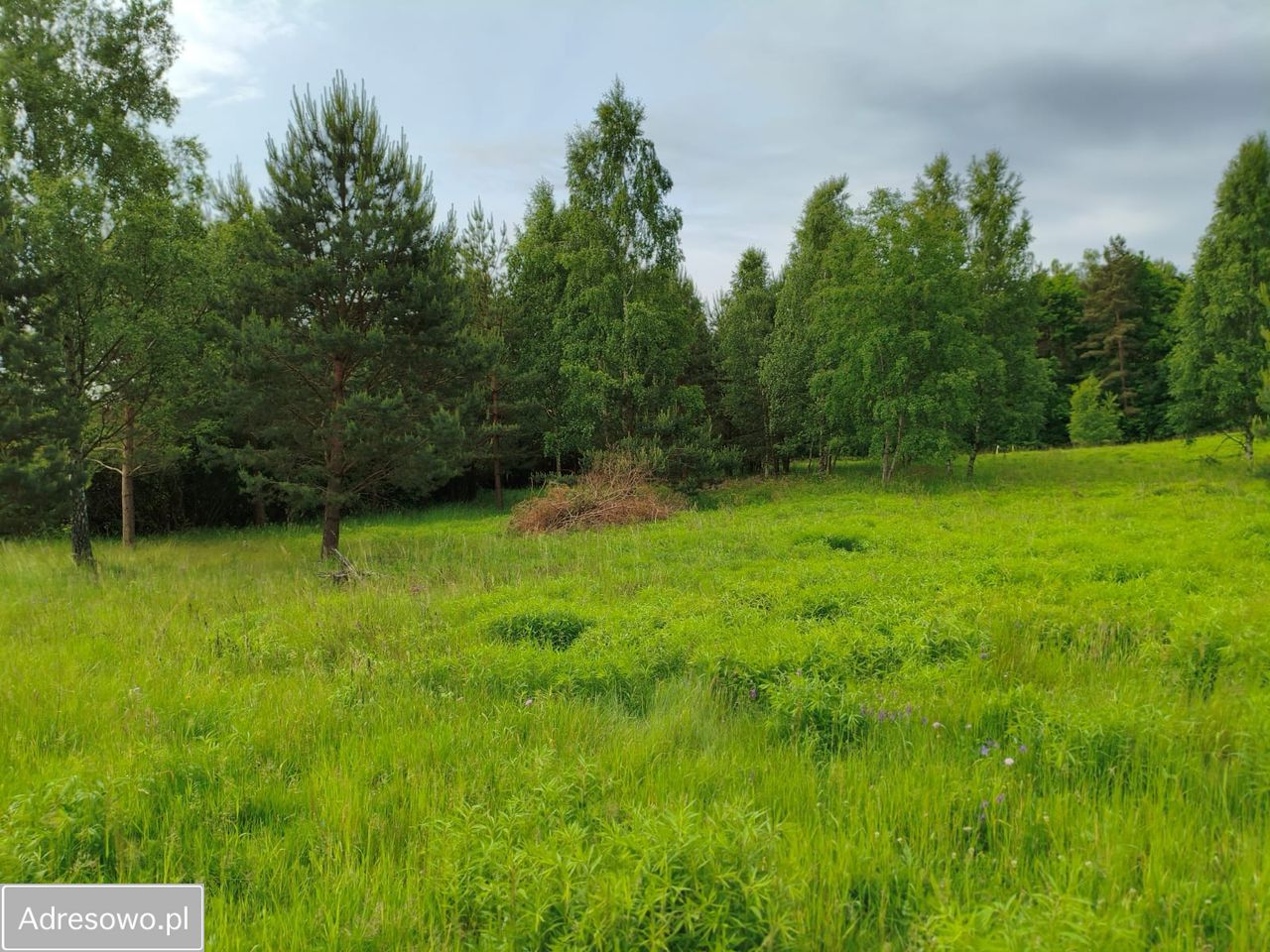 Działka budowlana Polanica-Zdrój, ul. Stefana Okrzei. Zdjęcie 2