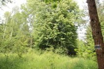 Działka rolna Gójszcz. Zdjęcie 2