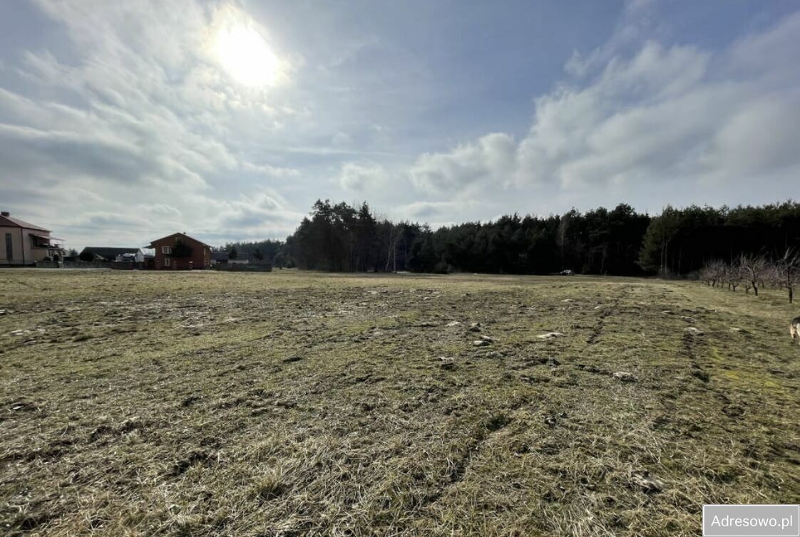 Działka rolno-budowlana Krzcin. Zdjęcie 2